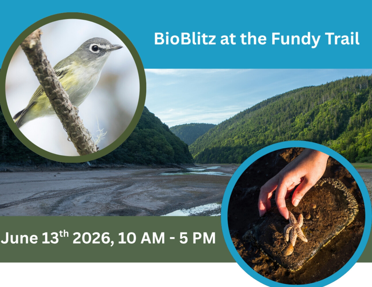 Fundy Trail Provincial Park BioBlitz 2026