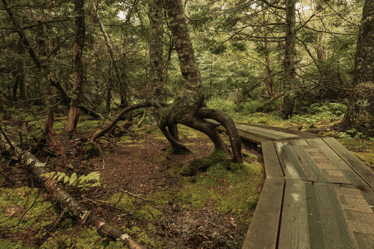 The Anchorage Provincial Park