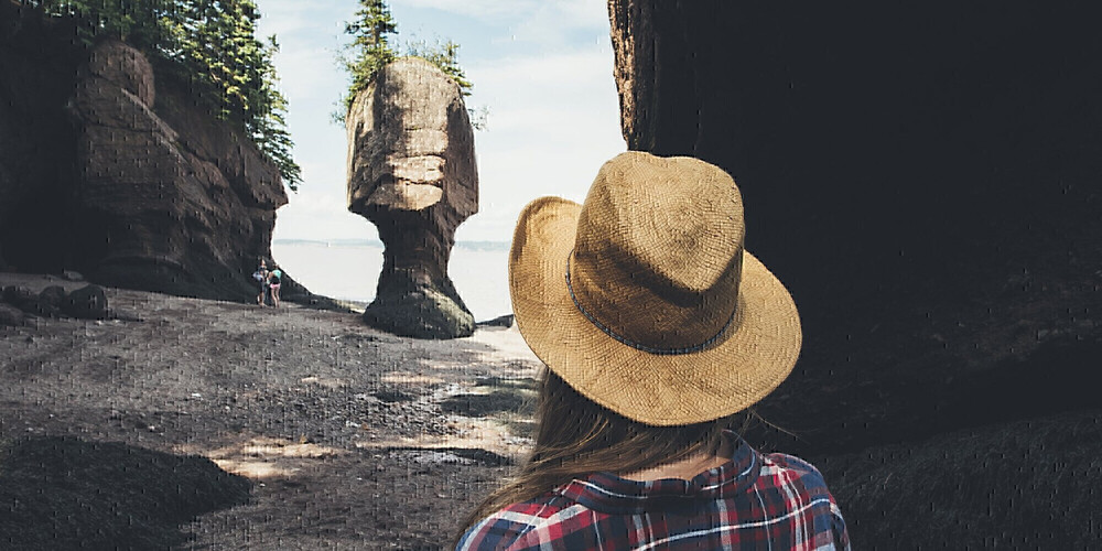 Hopewell Rocks Provincial Park
