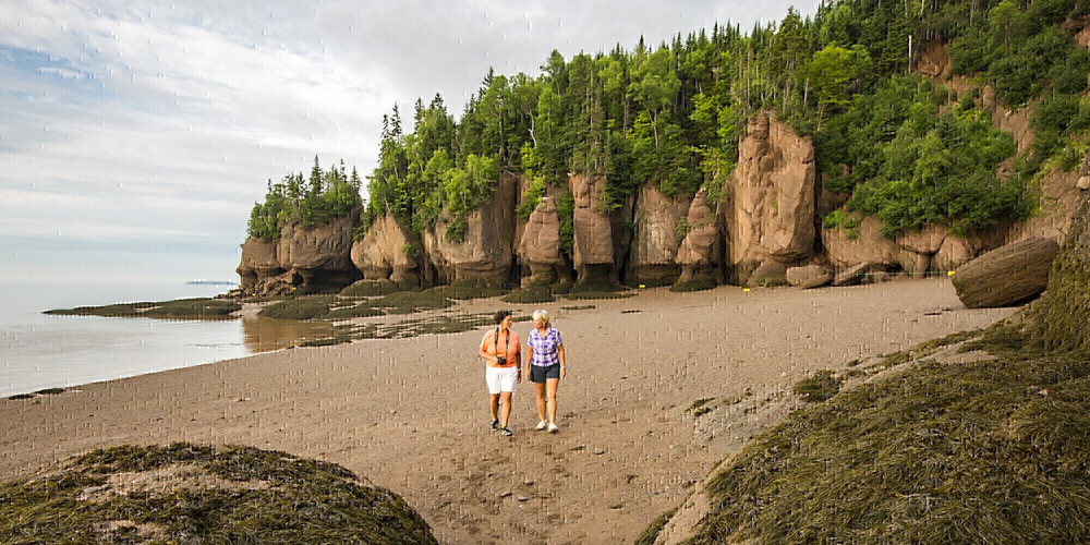 Hopewell Rocks Provincial Park