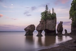 Parc provincial des rochers Hopewell